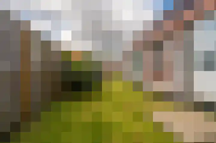 Wilhelminastraat 95 Sappemeer thumbnail 30
