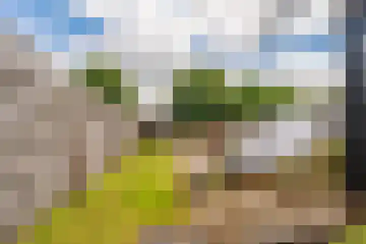 Wilhelminastraat 95 Sappemeer thumbnail 31