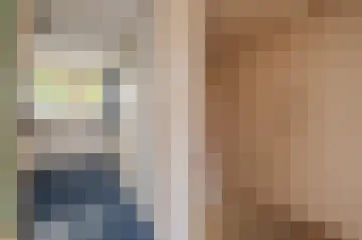 Wilhelminastraat 95 Sappemeer thumbnail 34