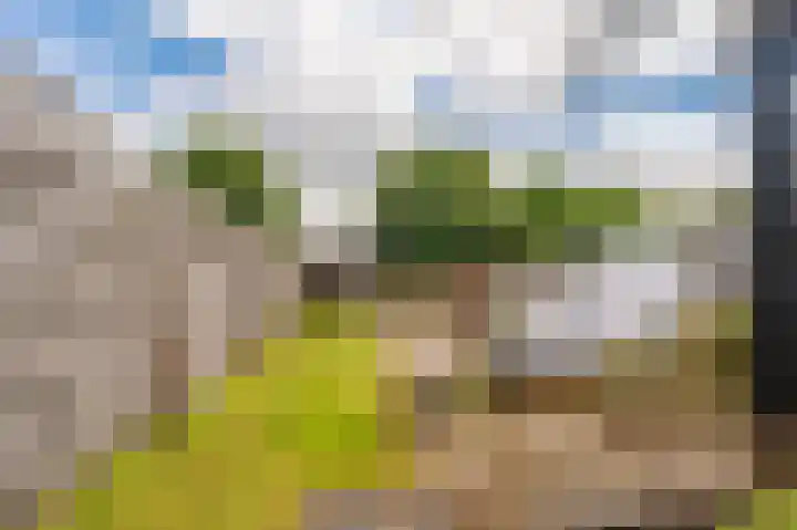Wilhelminastraat 95 Sappemeer thumbnail 4