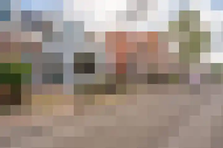 Wilhelminastraat 95 Sappemeer thumbnail 7
