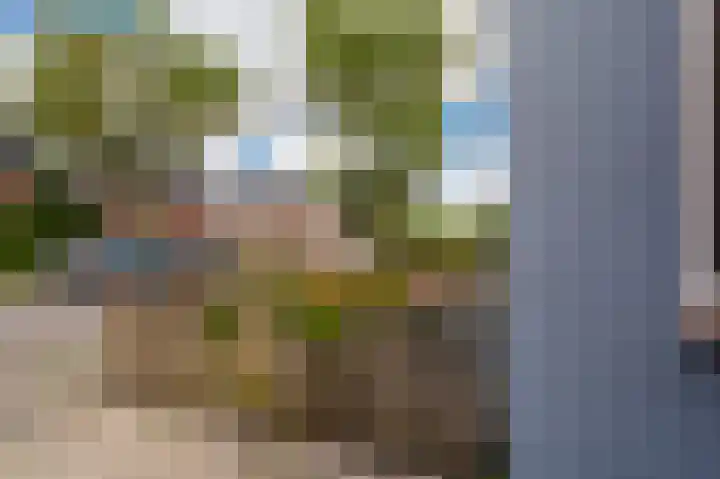 Wilhelminastraat 95 Sappemeer thumbnail 9
