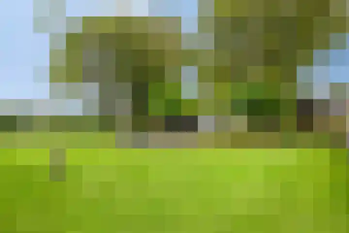 Wilhelminastraat 96 Sint Jansteen thumbnail 52
