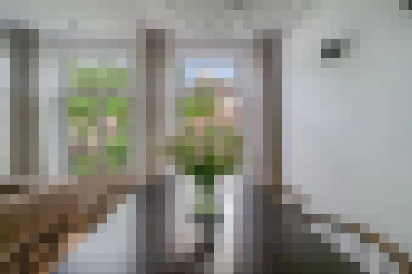 Wilhelminastraat 97 3 Amsterdam thumbnail 11