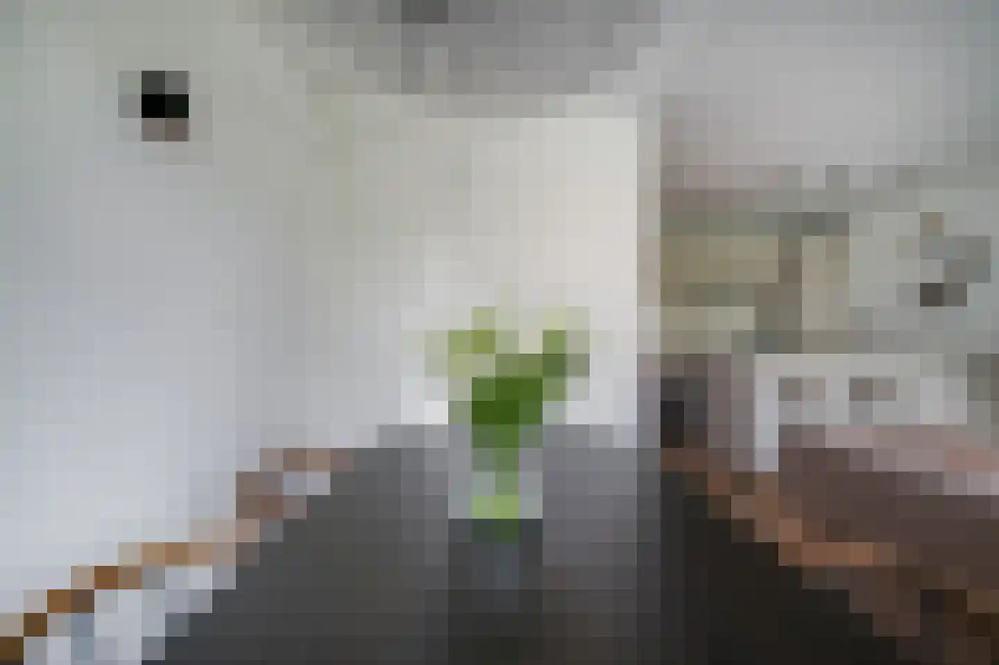 Wilhelminastraat 97 3 Amsterdam thumbnail 13