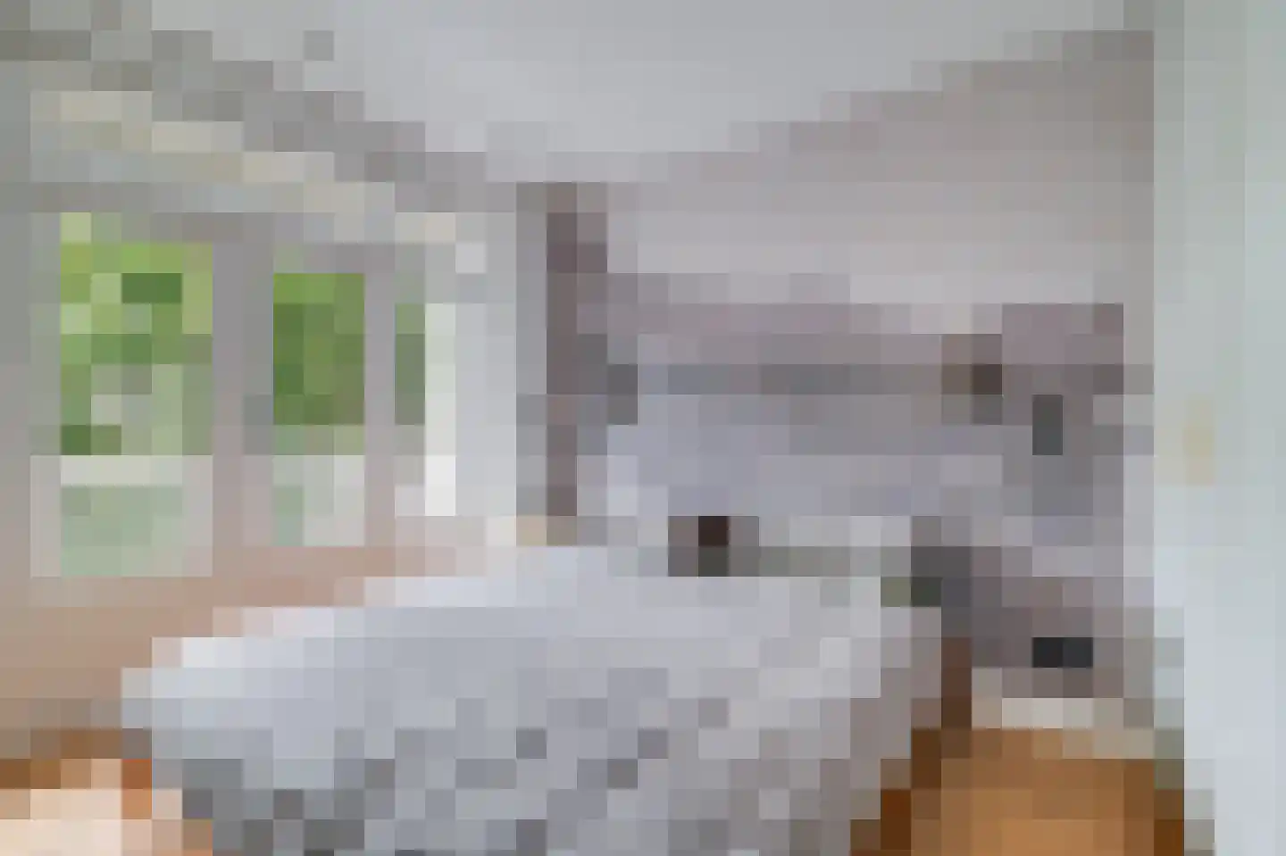 Wilhelminastraat 97 3 Amsterdam thumbnail 22