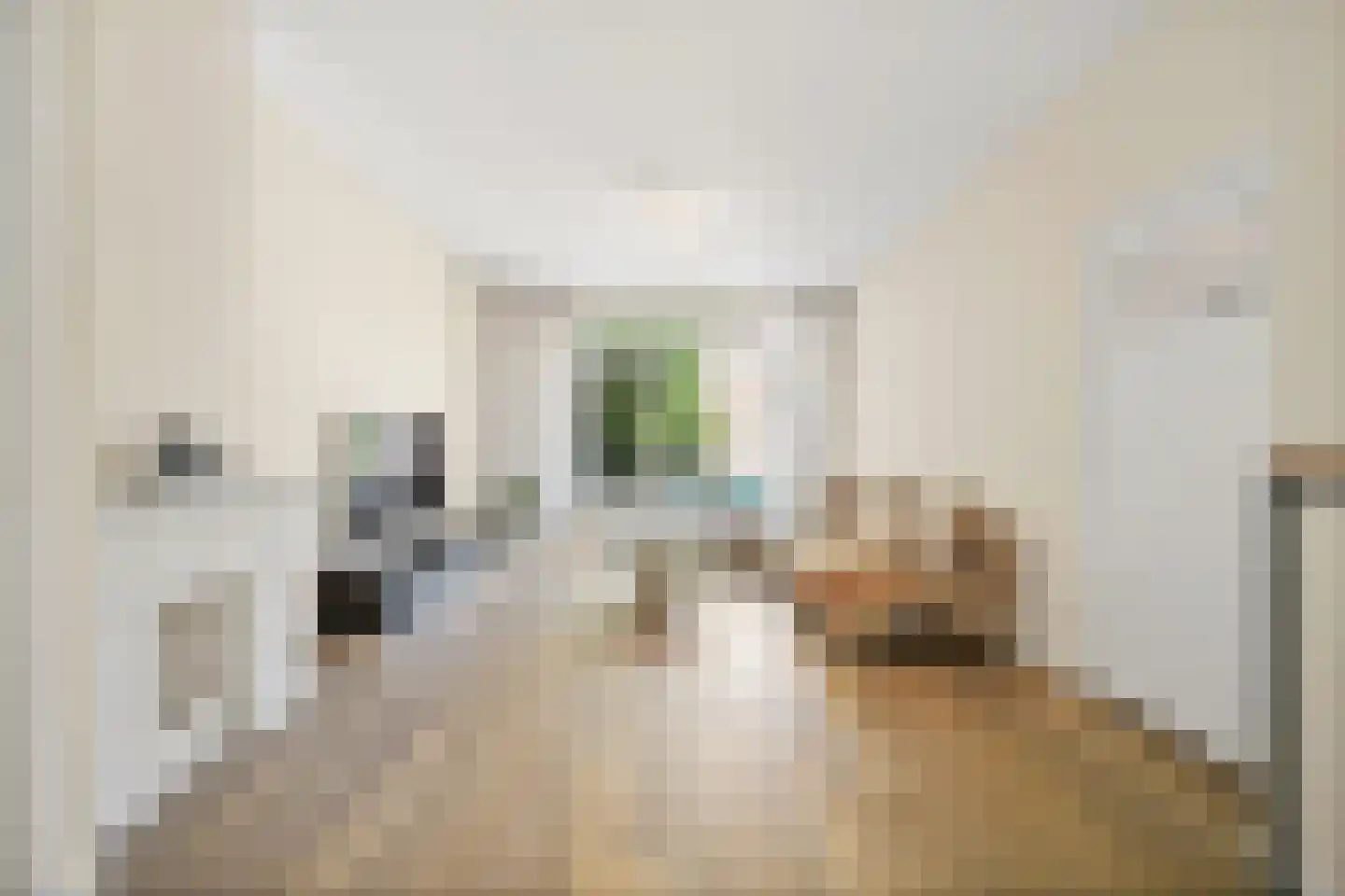 Wilhelminastraat 99 Den Haag thumbnail 18