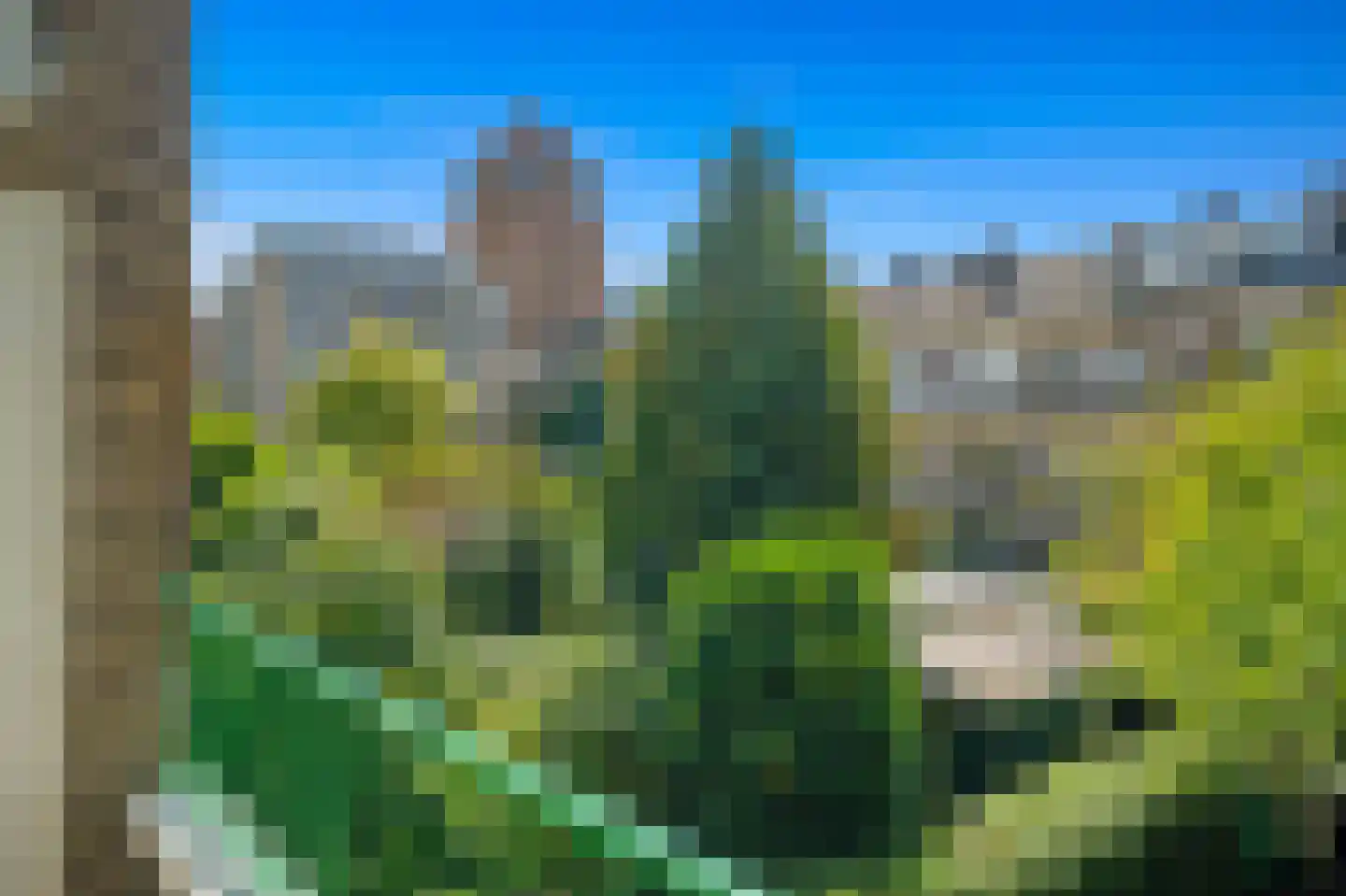 Wilhelminastraat 99 Den Haag thumbnail 27