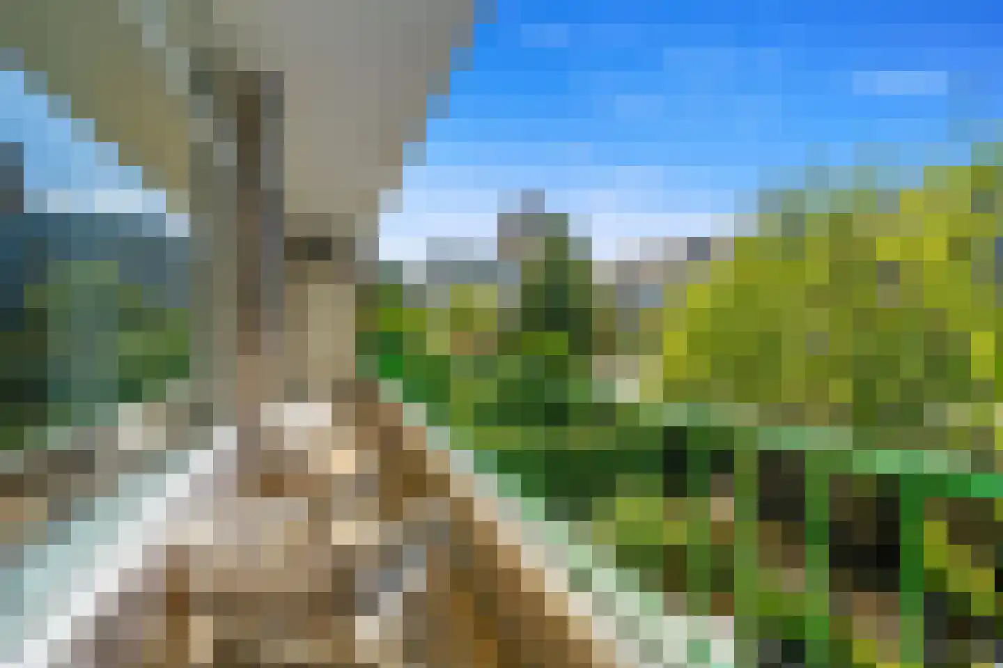 Wilhelminastraat 99 Den Haag thumbnail 4