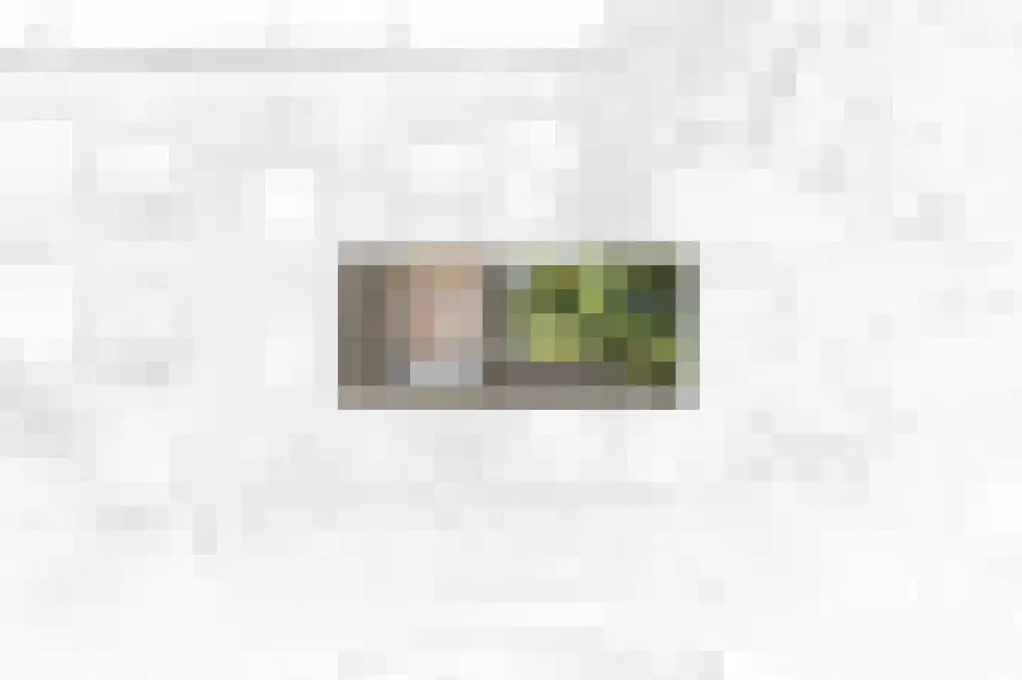 Wilhelminastraat 99 Den Haag thumbnail 6