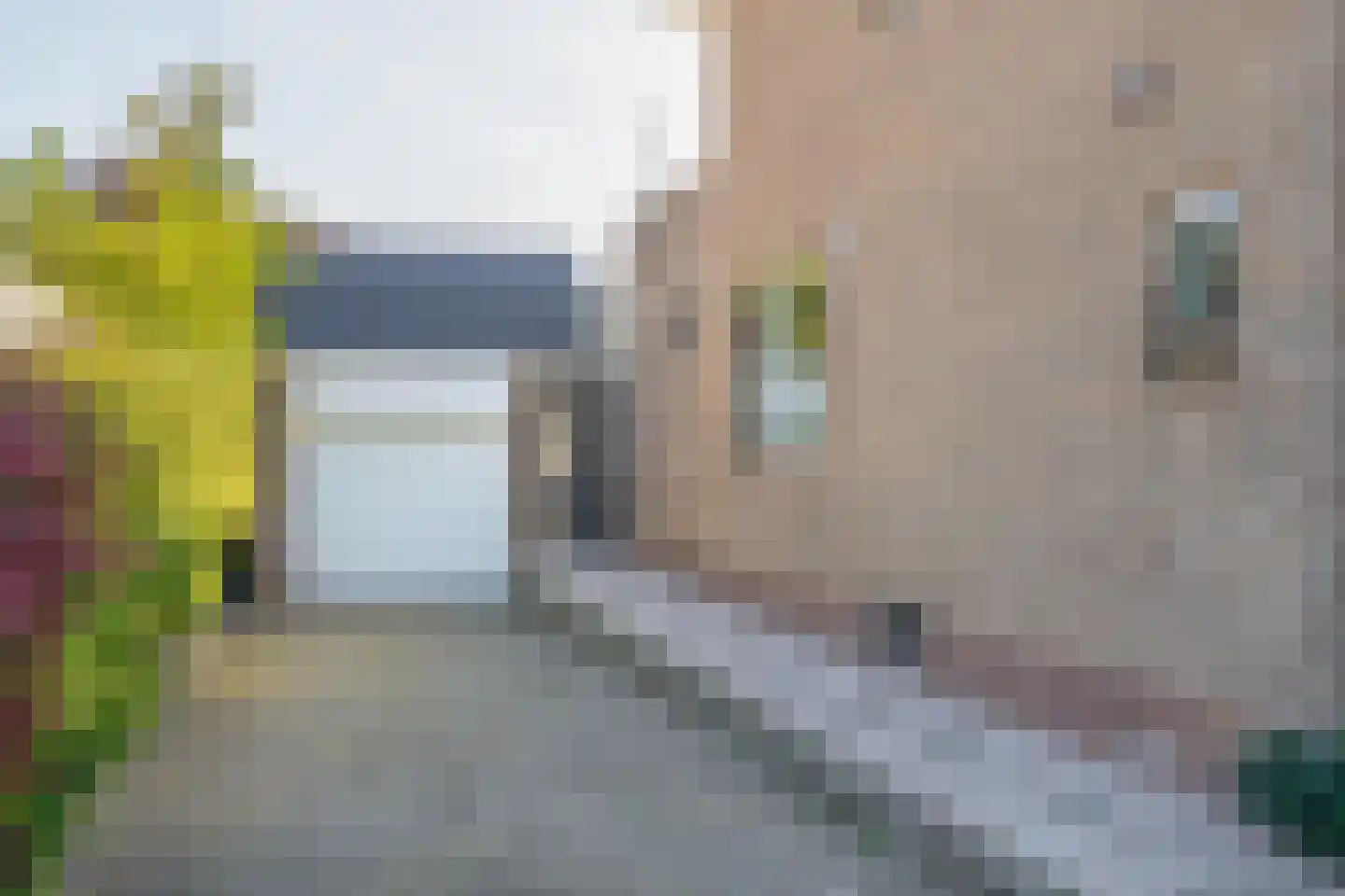 Wilhelminaweg 10 Ouddorp thumbnail 34
