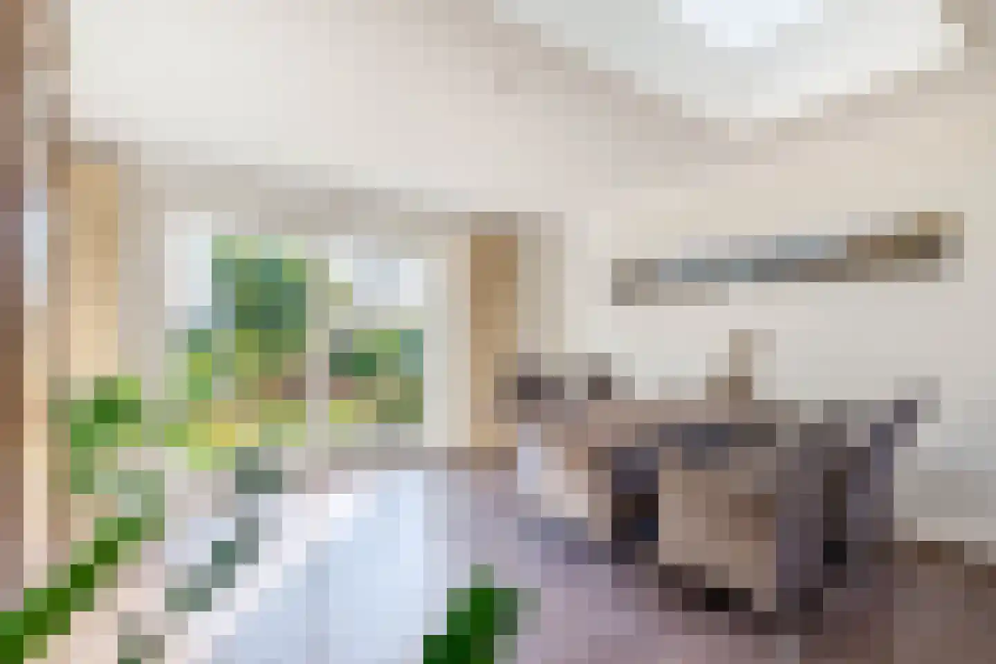Wilhelminaweg 10 Ouddorp thumbnail 4