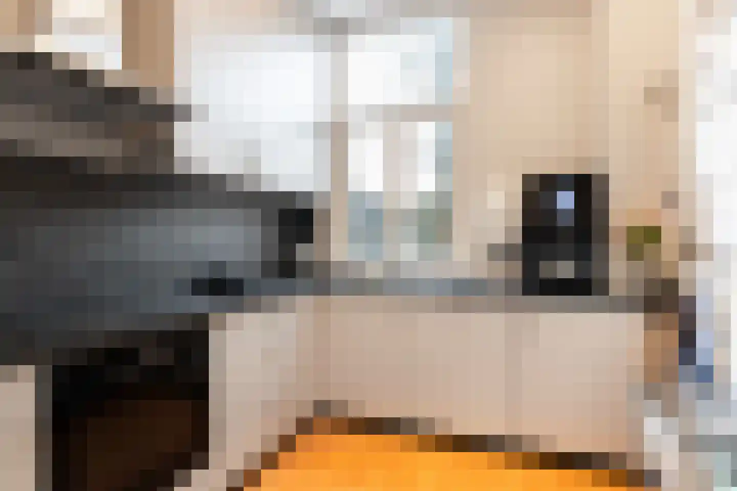 Wilhelminaweg 12 Woerden thumbnail 17