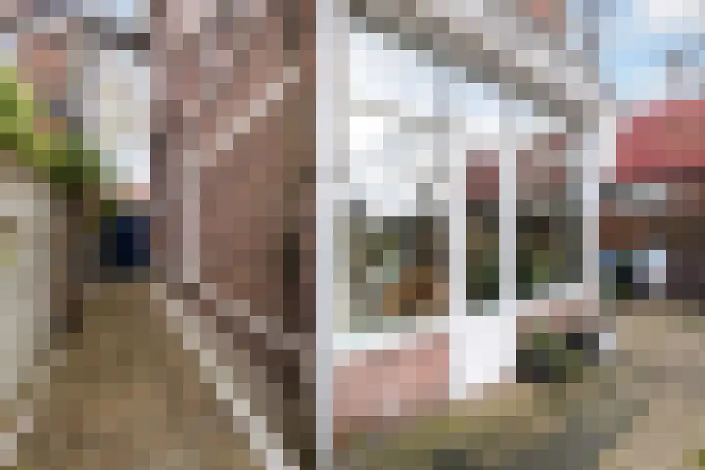 Wilhelminaweg 12 Woerden thumbnail 23