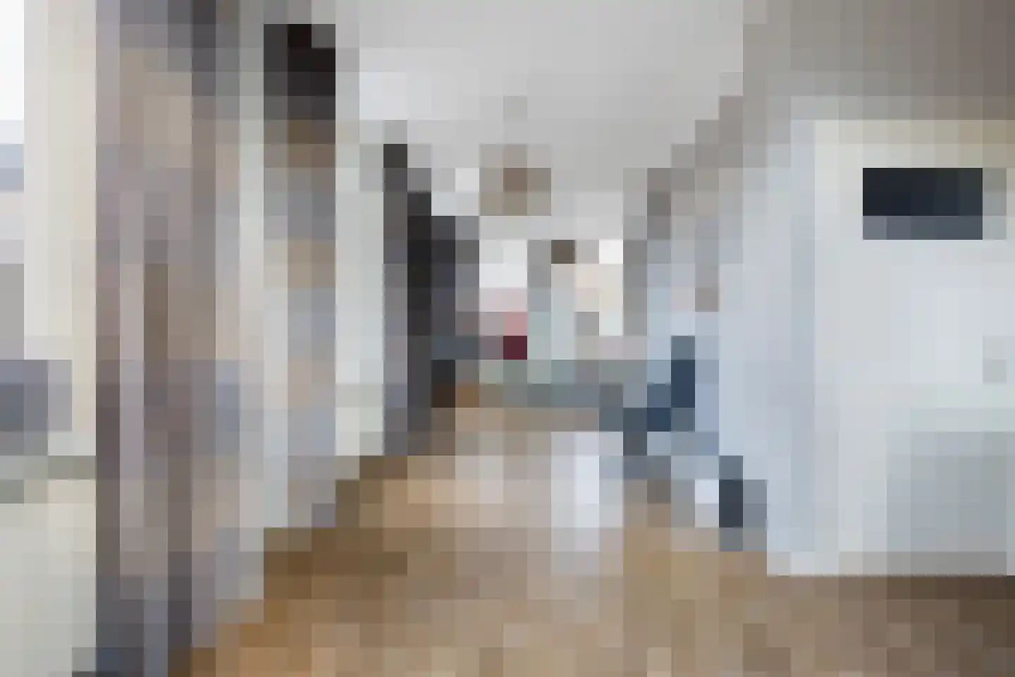 Wilhelminaweg 12 Woerden thumbnail 36