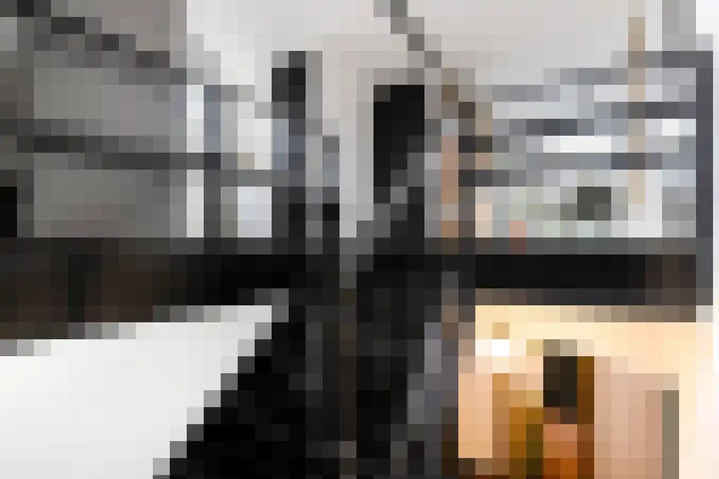 Wilhelminaweg 12 Woerden thumbnail 41