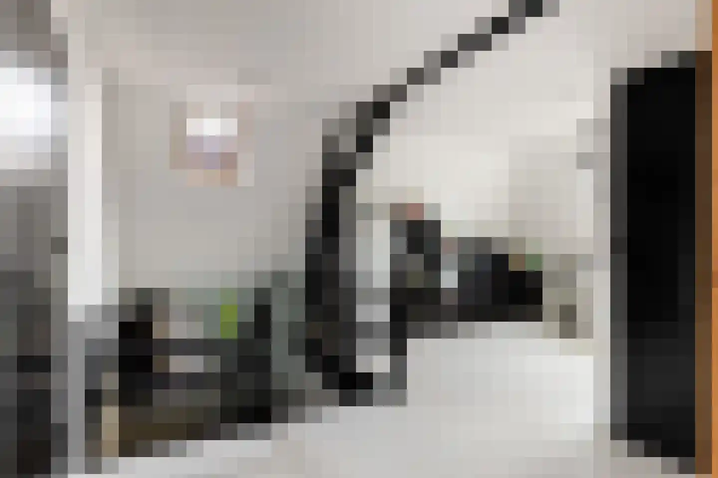 Wilhelminaweg 12 Woerden thumbnail 42