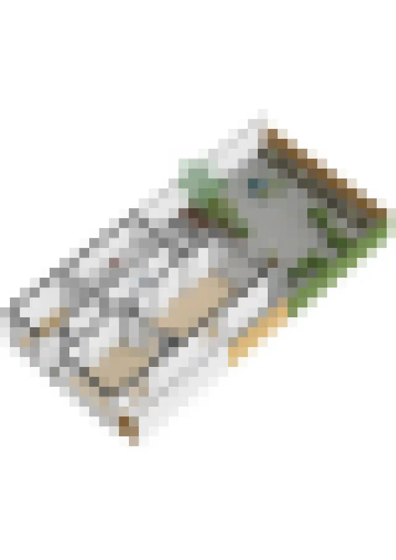 Wilhelminaweg 12 Woerden thumbnail 51