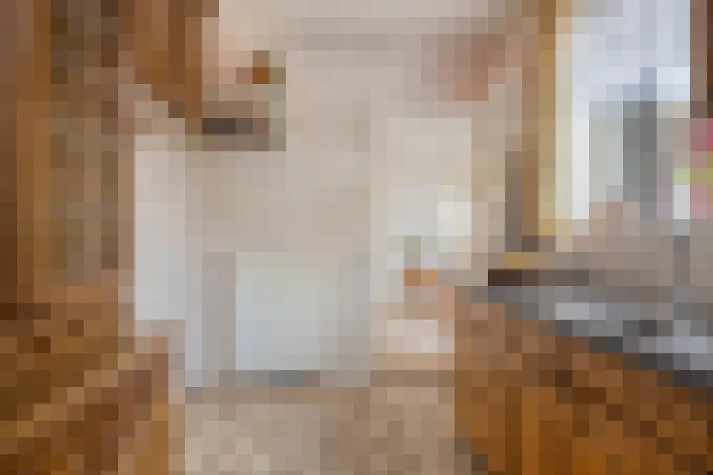 Wilhelminaweg 120 Dieren thumbnail 15