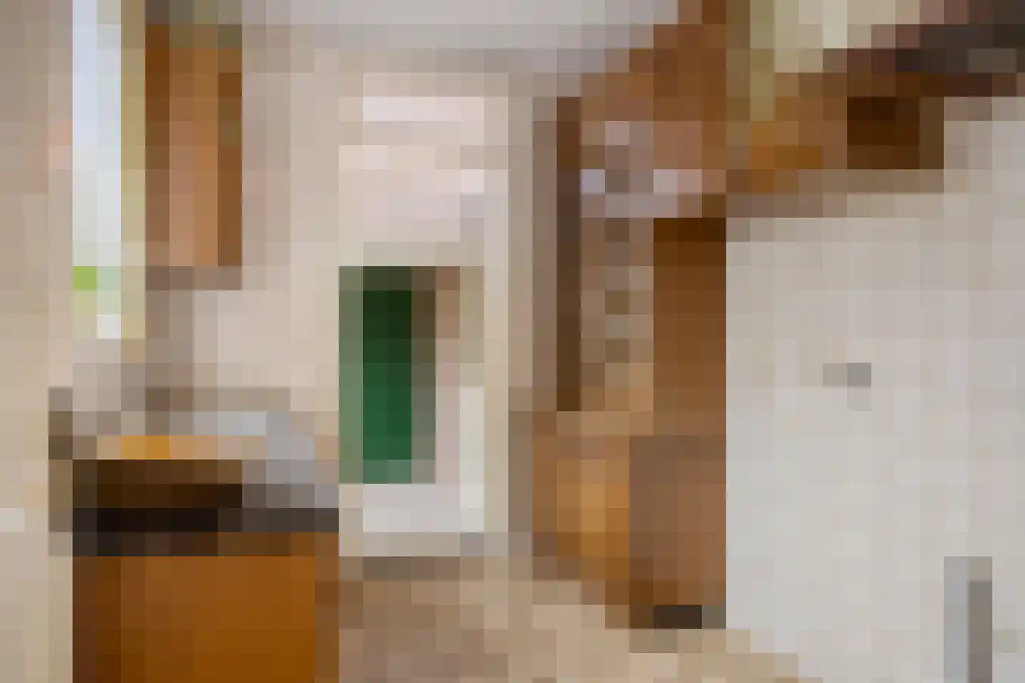 Wilhelminaweg 120 Dieren thumbnail 16