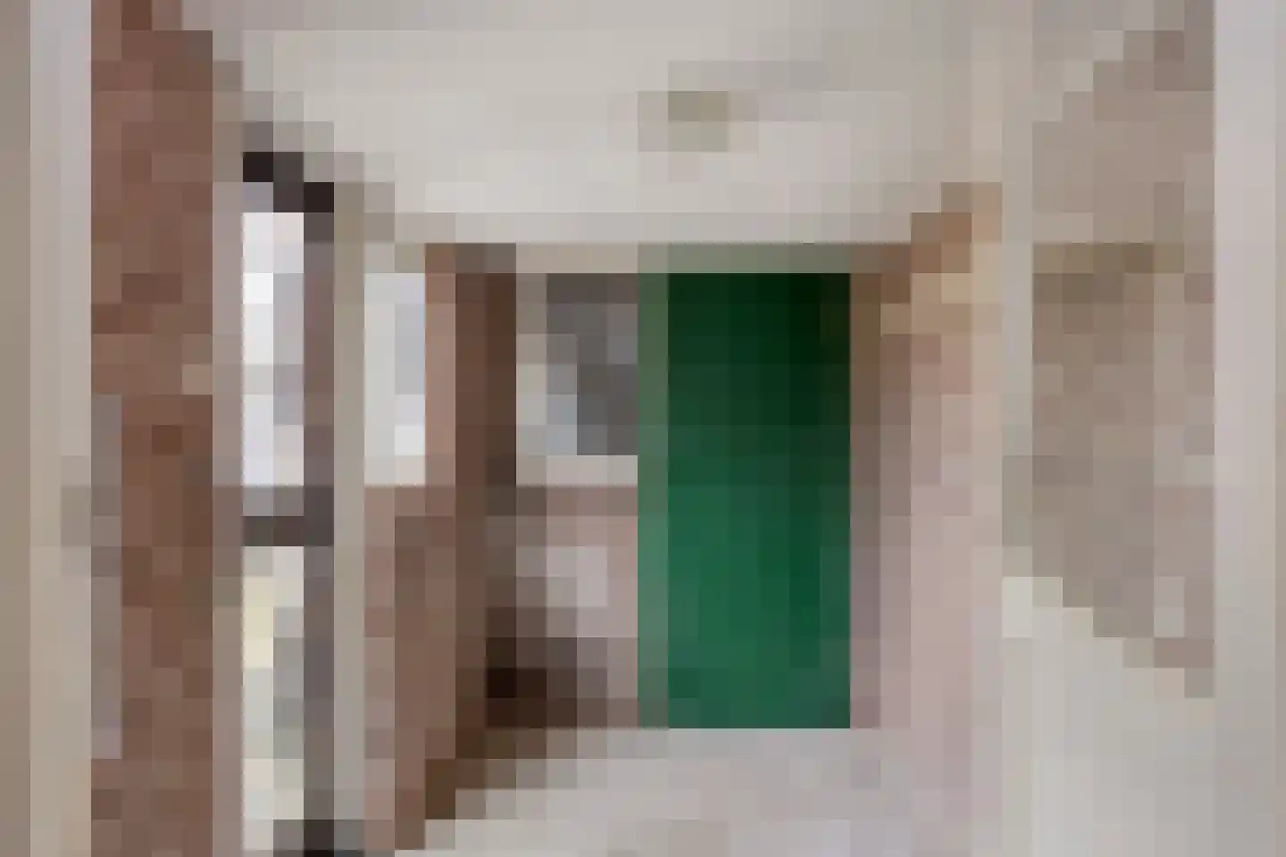 Wilhelminaweg 120 Dieren thumbnail 17