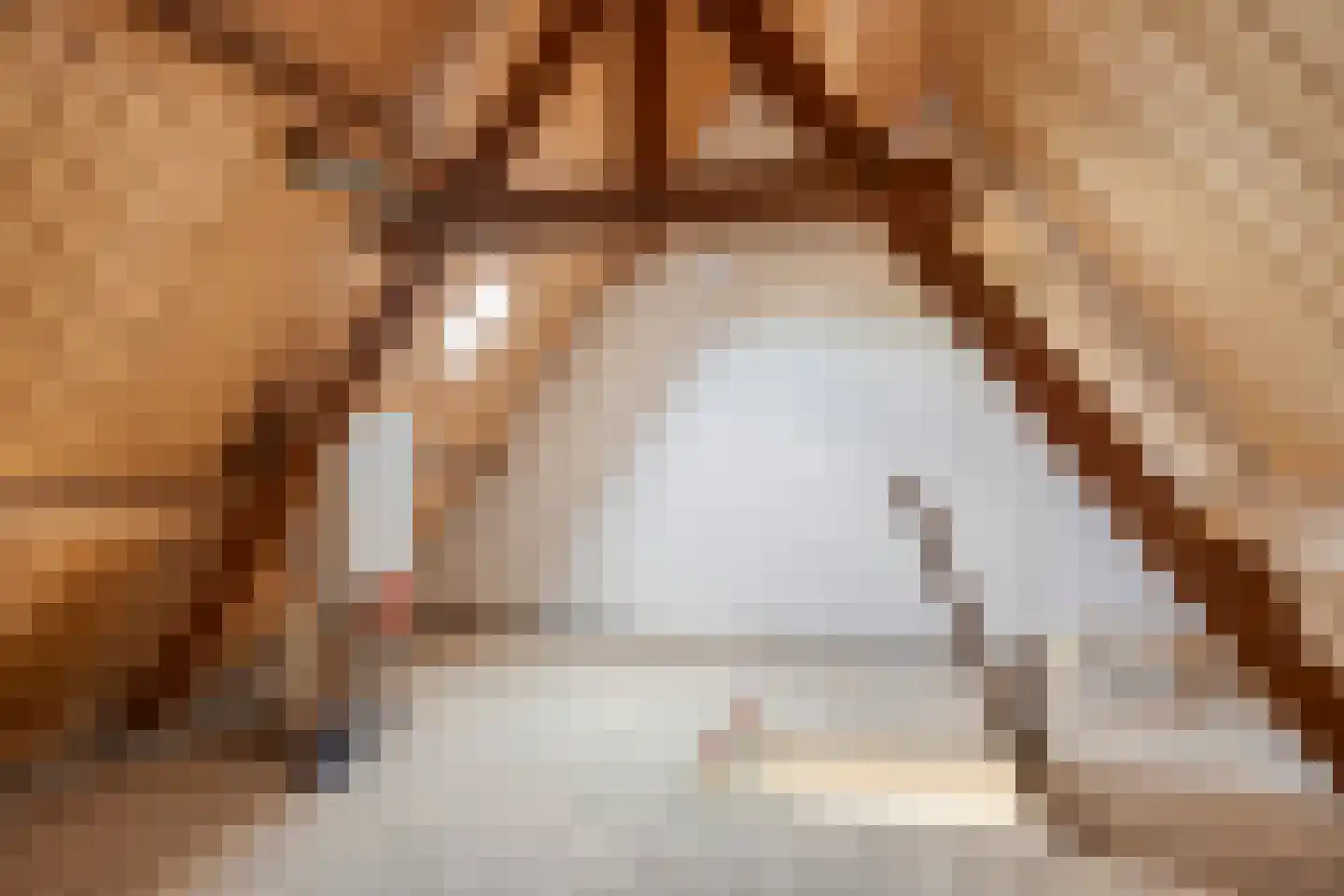 Wilhelminaweg 120 Dieren thumbnail 25