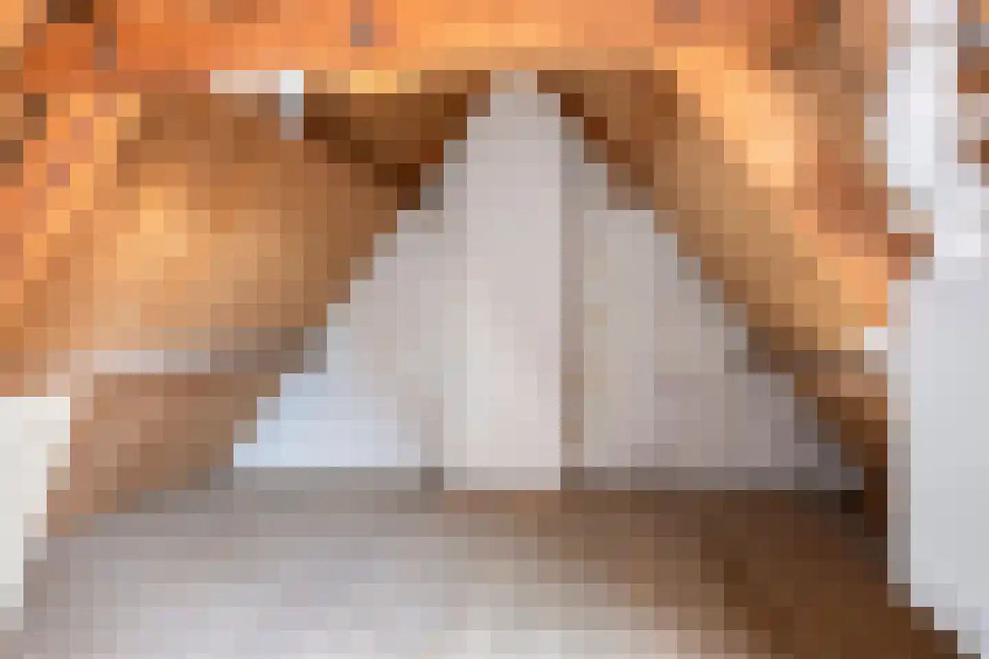Wilhelminaweg 120 Dieren thumbnail 26