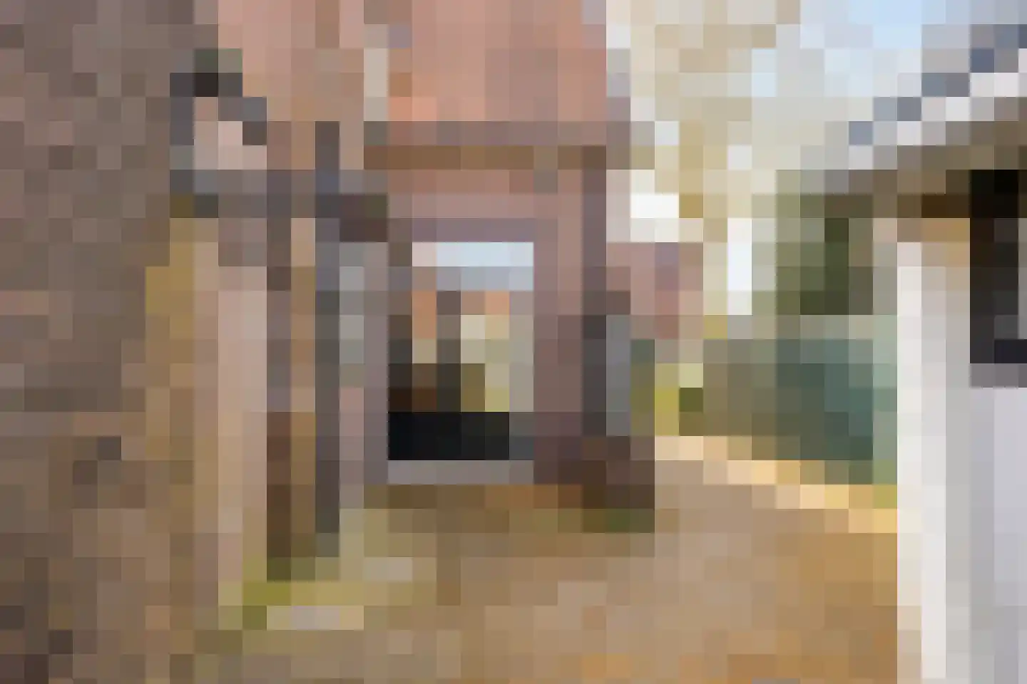 Wilhelminaweg 120 Dieren thumbnail 27