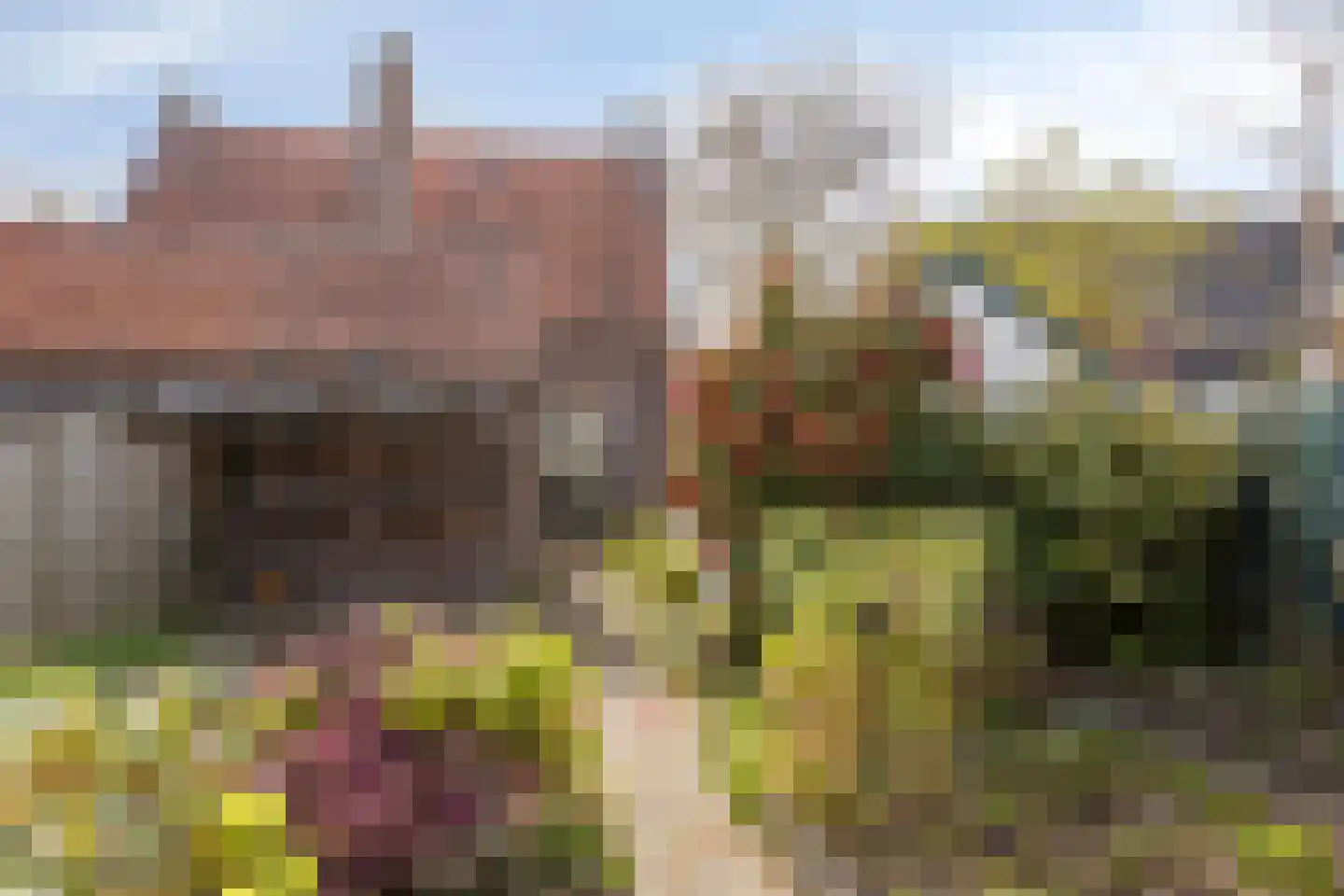 Wilhelminaweg 120 Dieren thumbnail 28