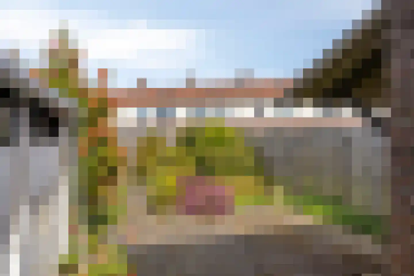 Wilhelminaweg 120 Dieren thumbnail 31