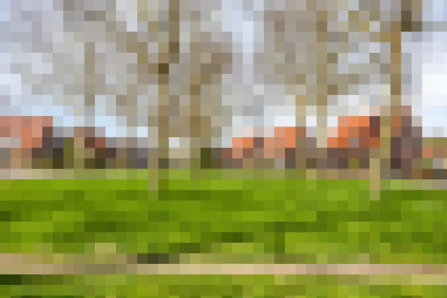 Wilhelminaweg 120 Dieren thumbnail 37