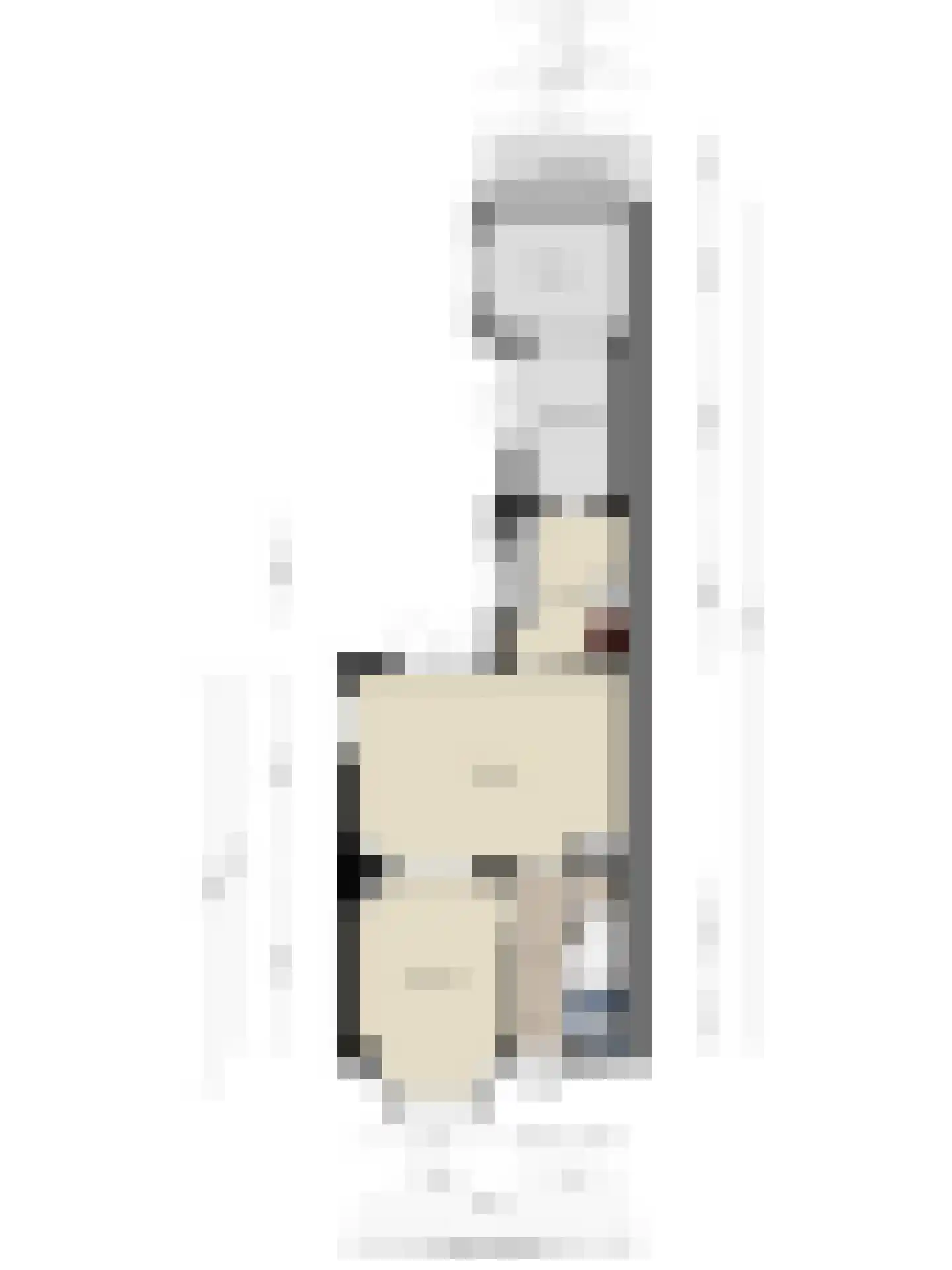 Wilhelminaweg 120 Dieren thumbnail 38
