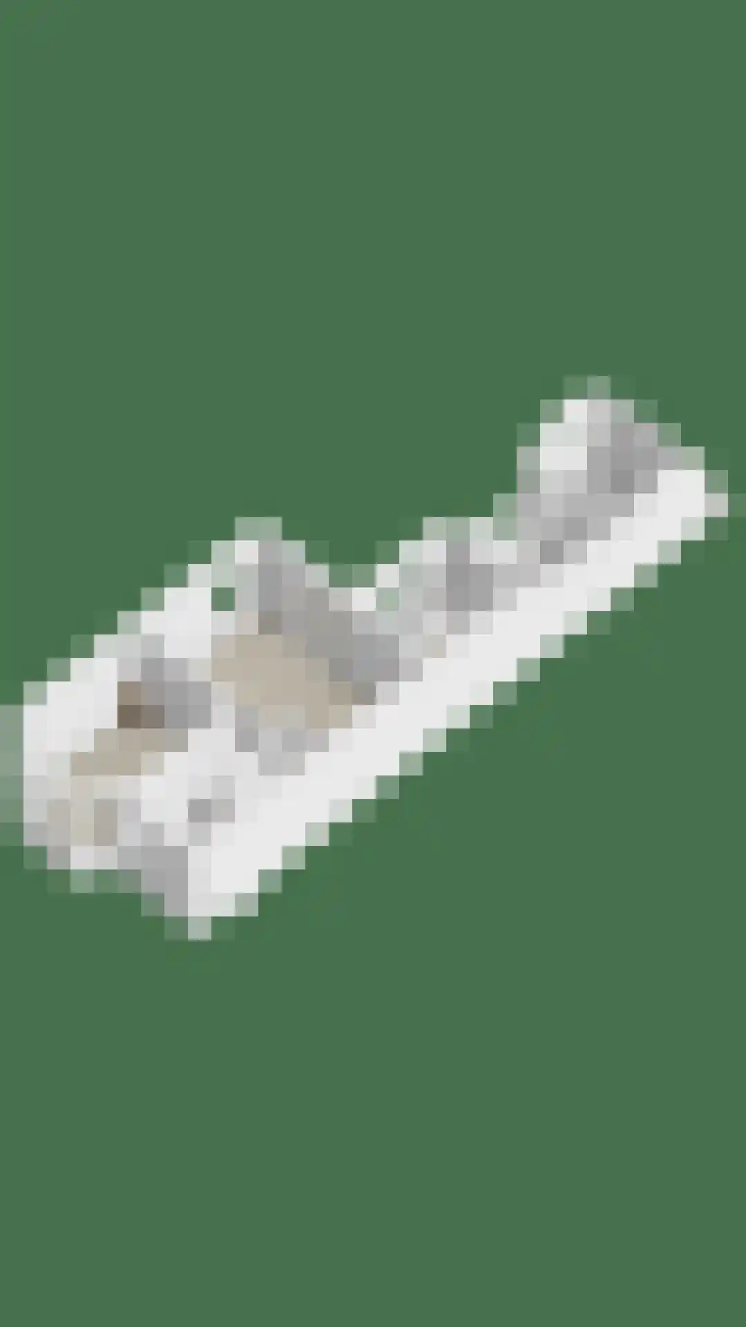 Wilhelminaweg 120 Dieren thumbnail 39