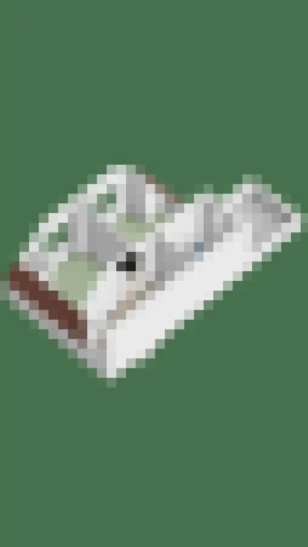 Wilhelminaweg 120 Dieren thumbnail 41