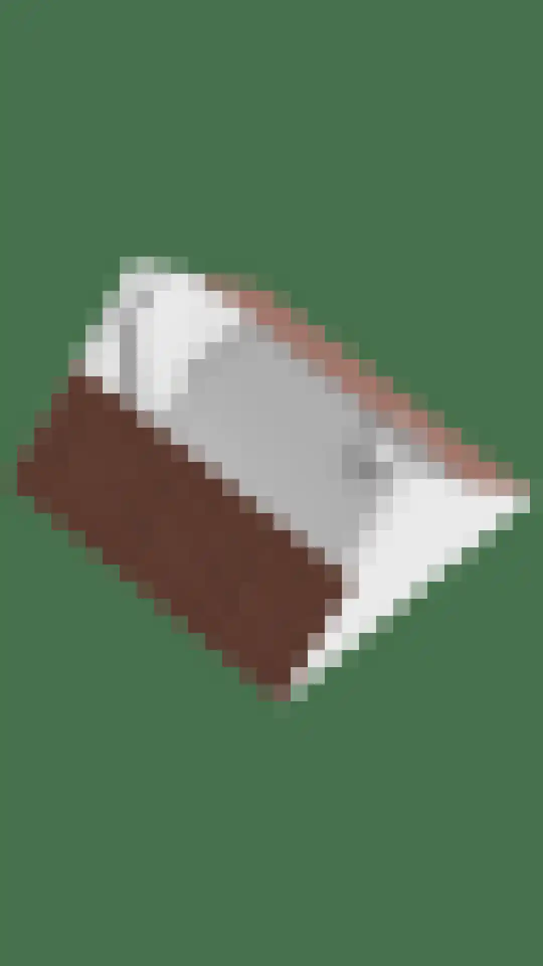 Wilhelminaweg 120 Dieren thumbnail 43
