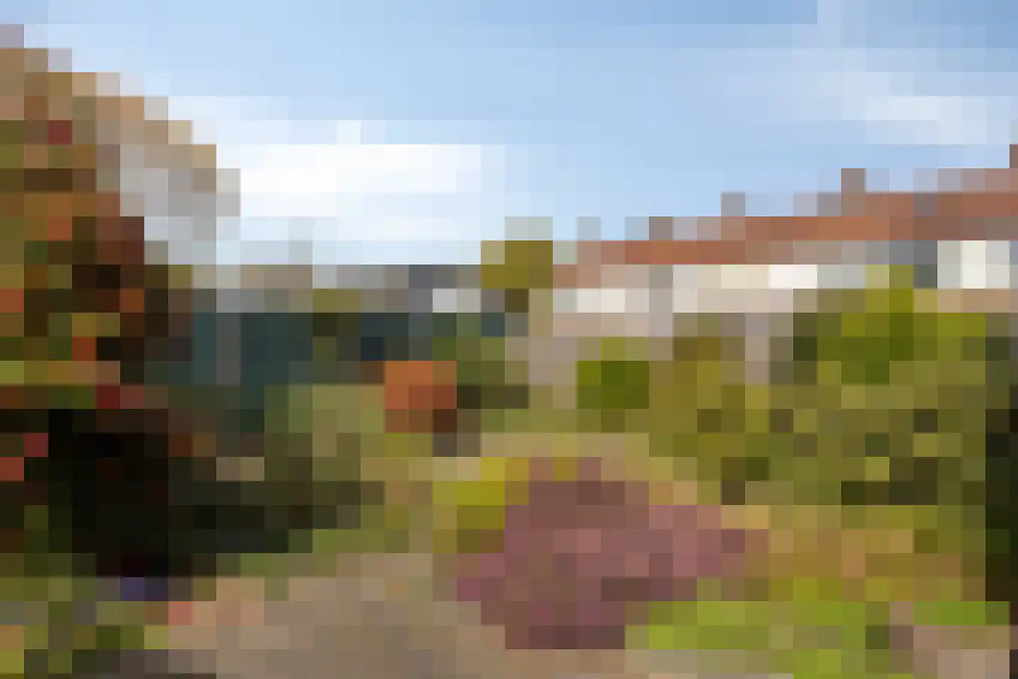Wilhelminaweg 120 Dieren thumbnail 5