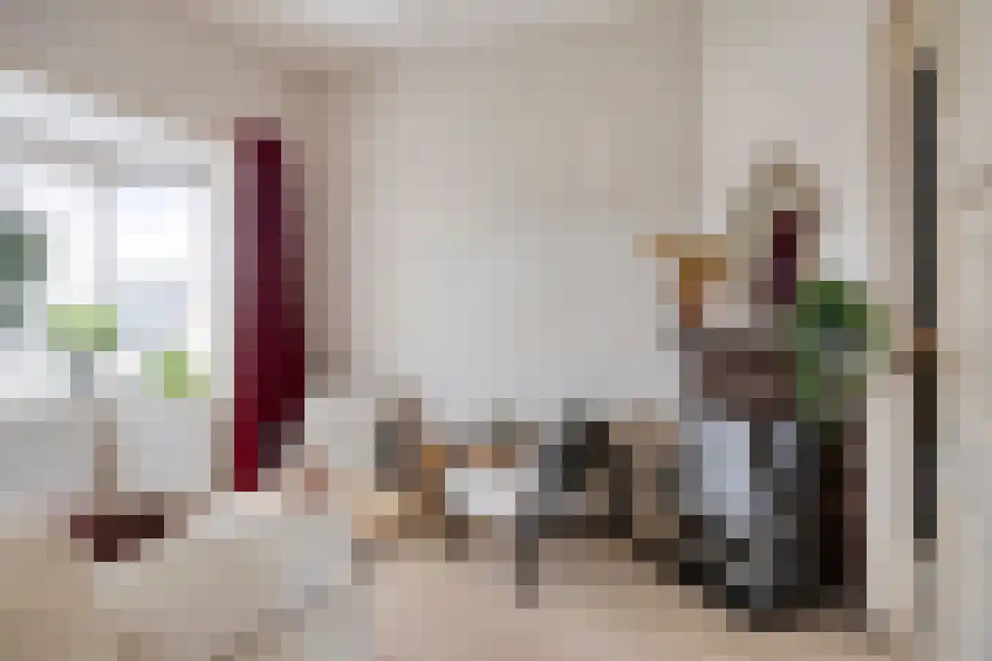 Wilhelminaweg 120 Dieren thumbnail 8