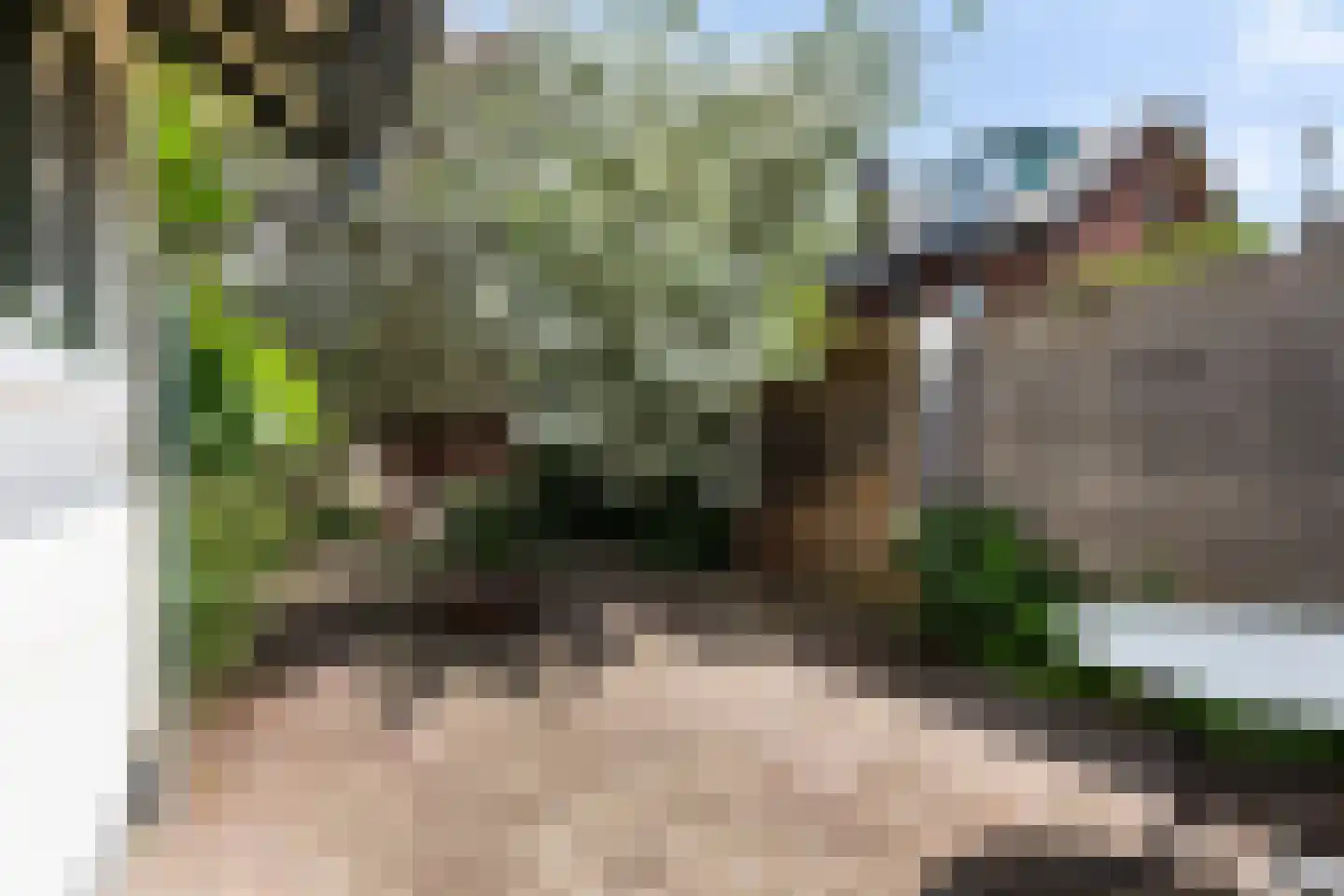 Wilhelminaweg 14 Apeldoorn thumbnail 23