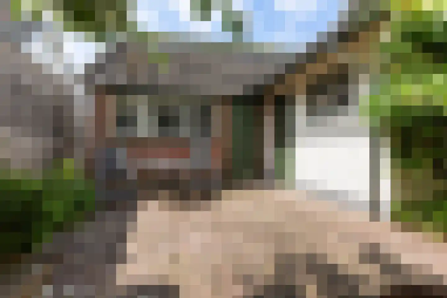 Wilhelminaweg 14 Apeldoorn thumbnail 24