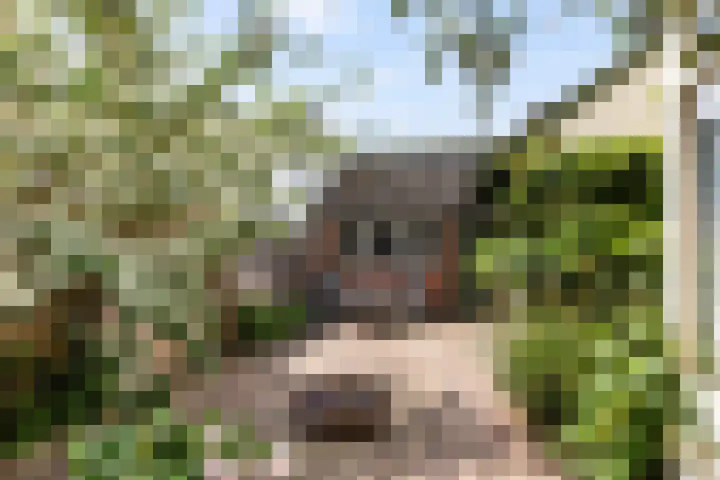 Wilhelminaweg 14 Apeldoorn thumbnail 25