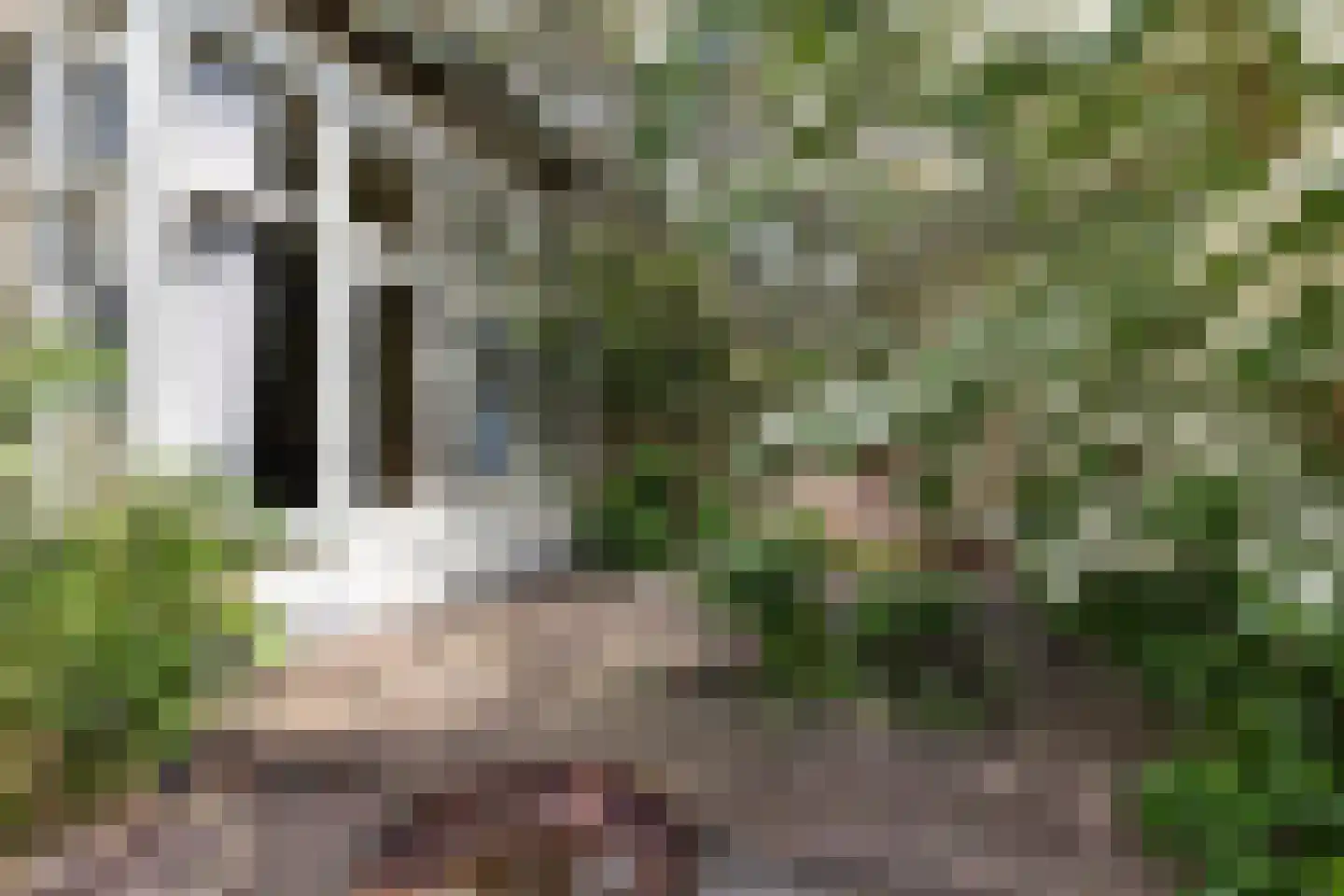 Wilhelminaweg 14 Apeldoorn thumbnail 26