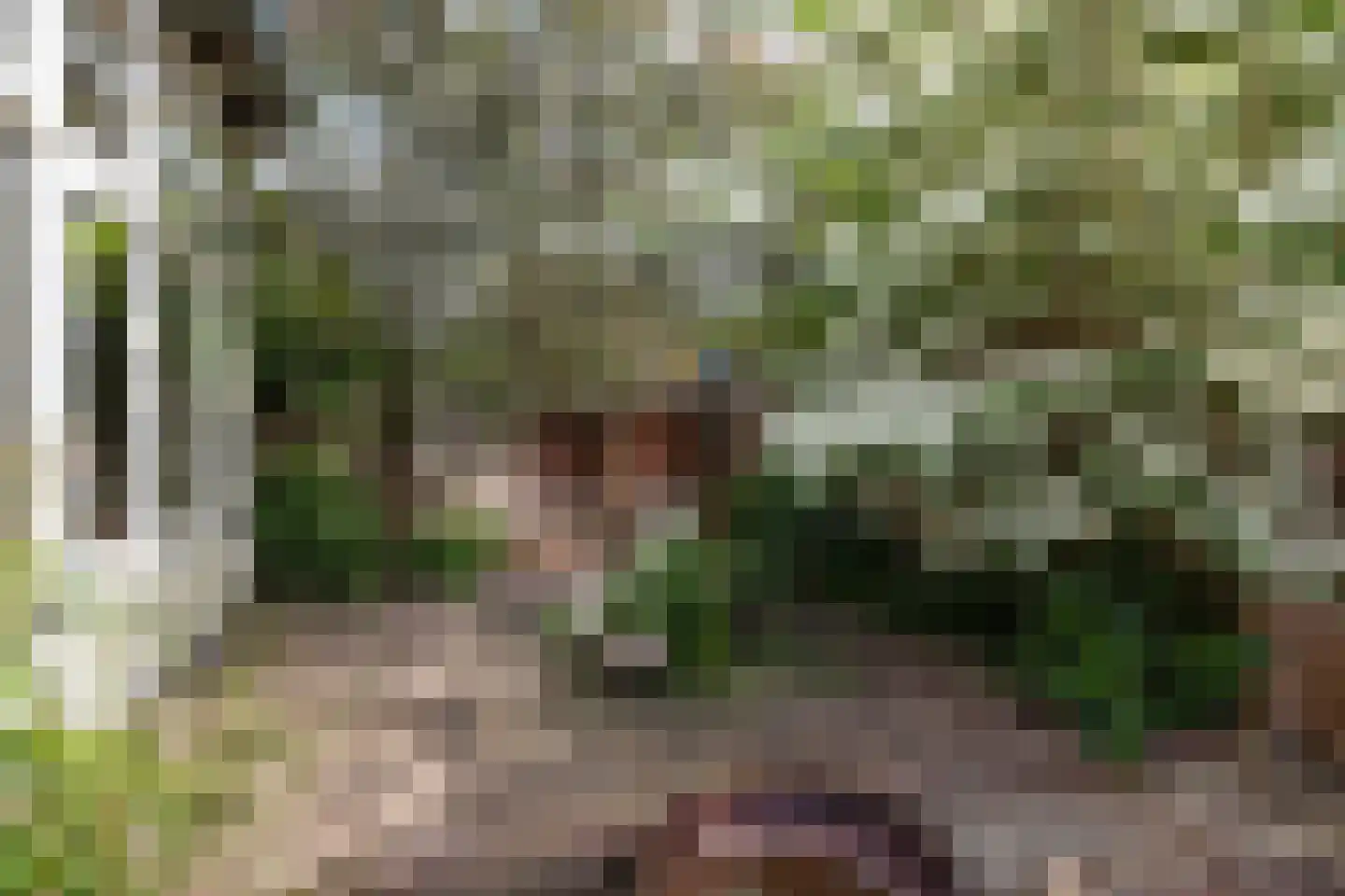 Wilhelminaweg 14 Apeldoorn thumbnail 27