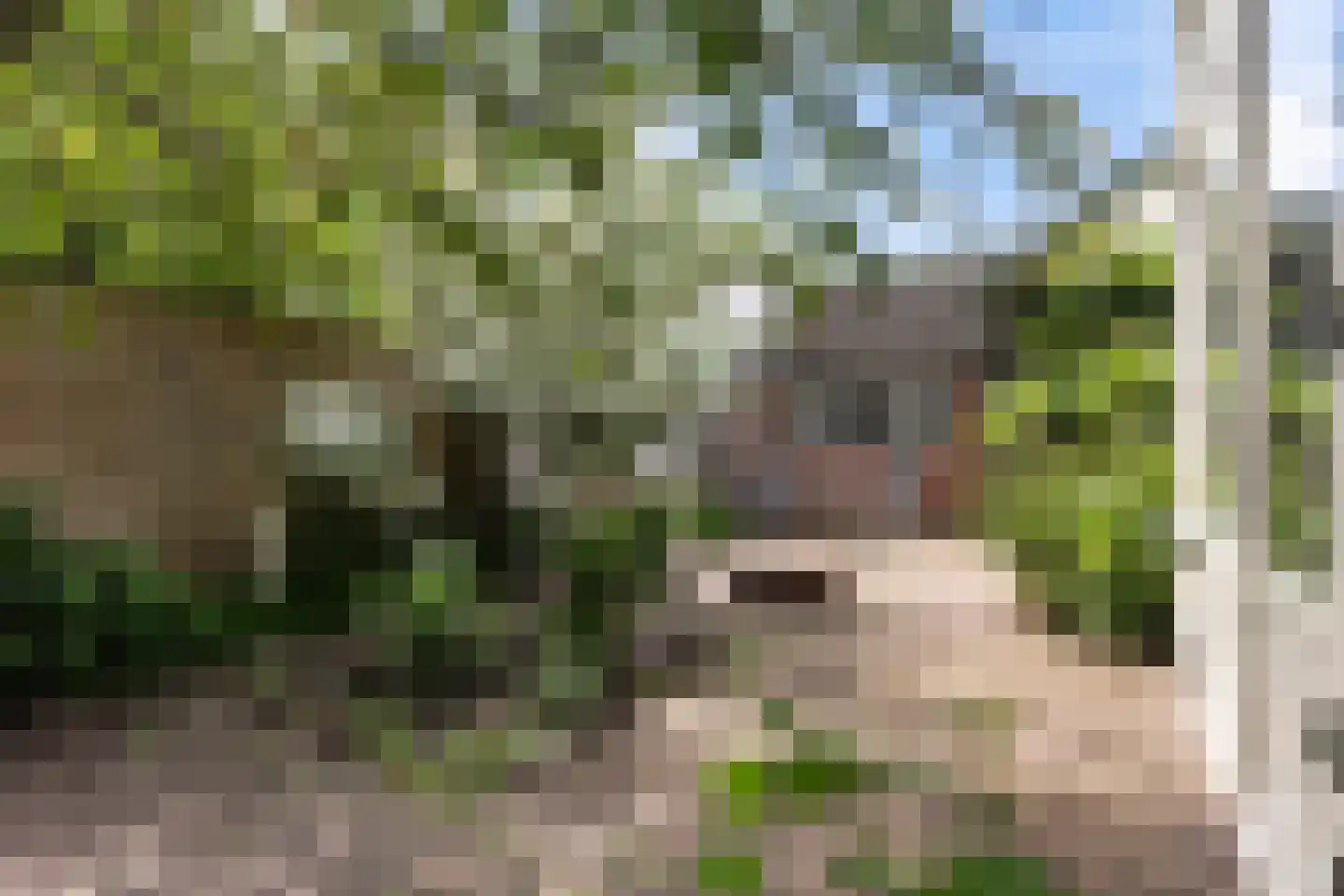 Wilhelminaweg 14 Apeldoorn thumbnail 29