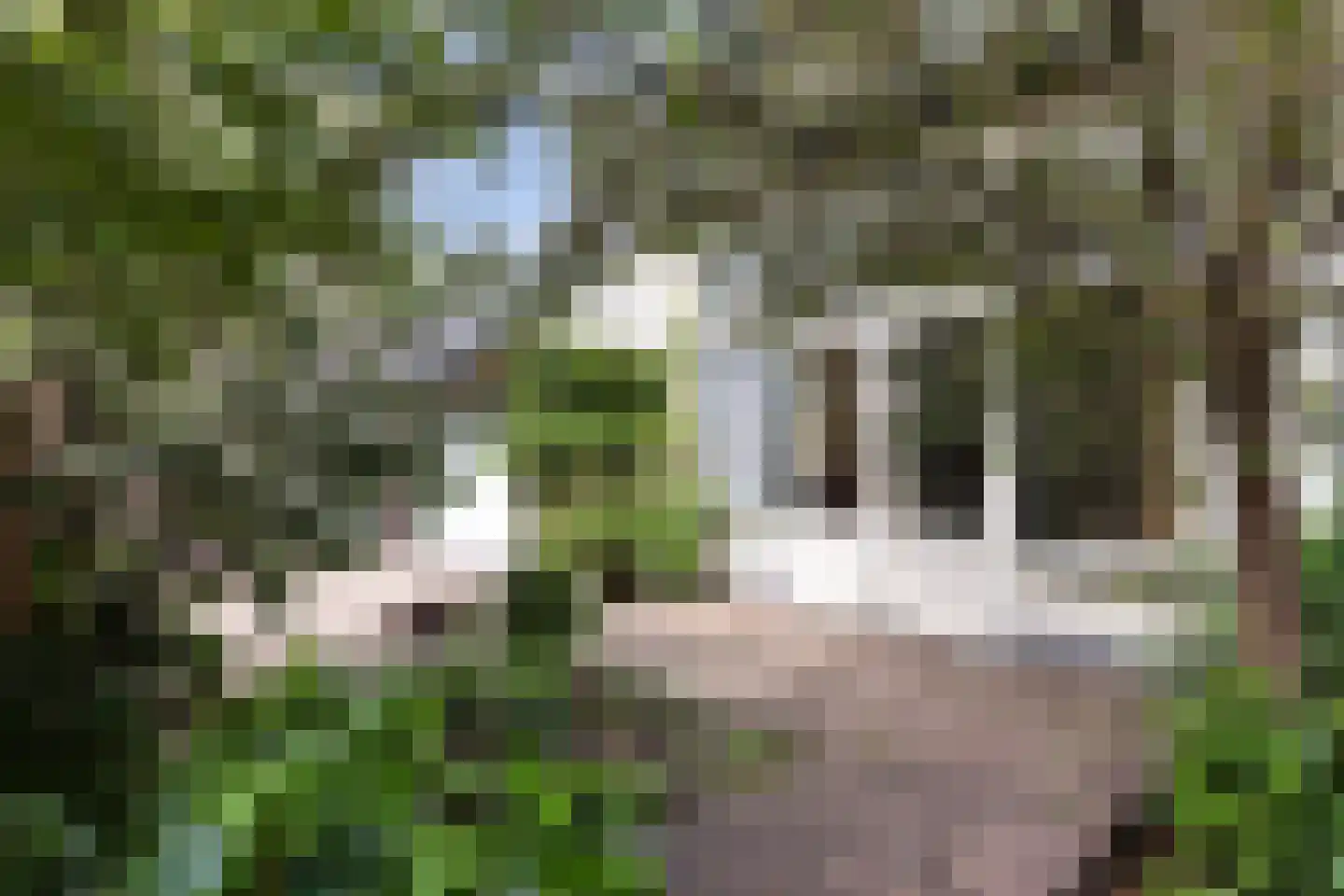 Wilhelminaweg 14 Apeldoorn thumbnail 30