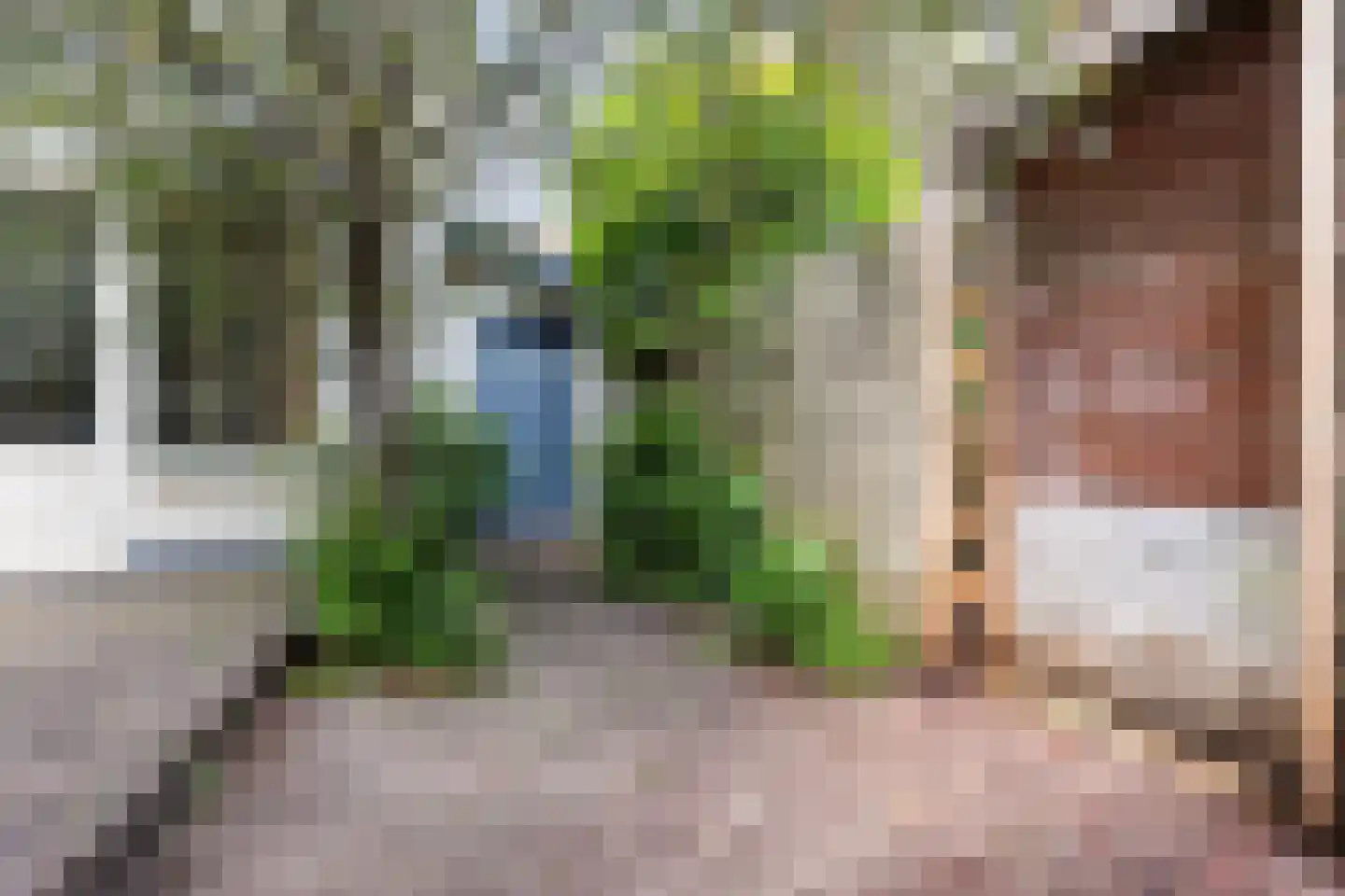 Wilhelminaweg 14 Apeldoorn thumbnail 31