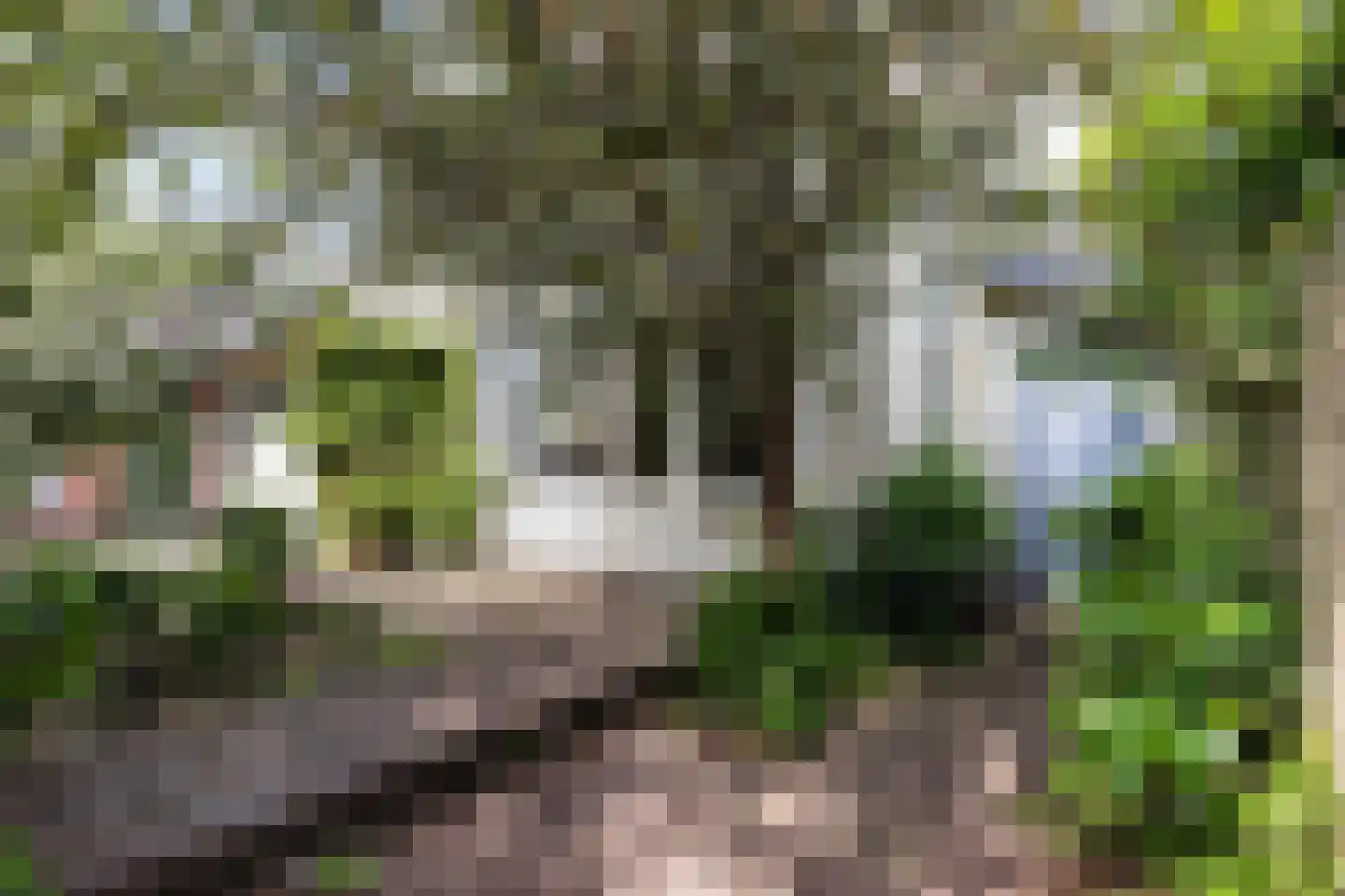 Wilhelminaweg 14 Apeldoorn thumbnail 32