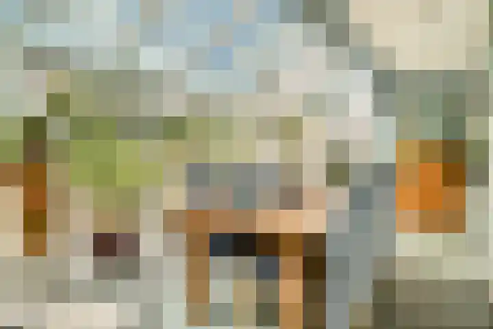 Wilhelminaweg 14 Zandvoort thumbnail 18