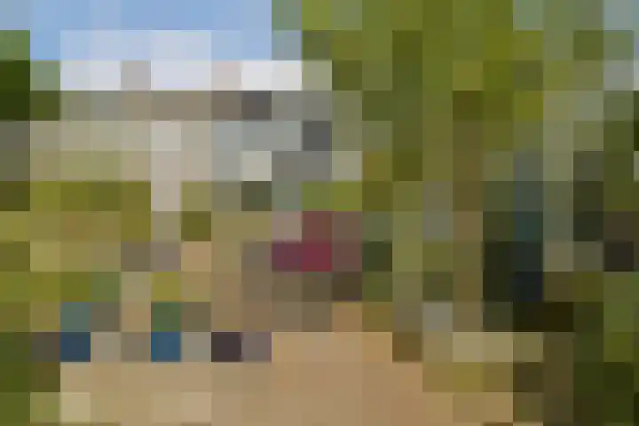 Wilhelminaweg 14 Zandvoort thumbnail 20