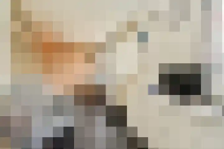 Wilhelminaweg 14 Zandvoort thumbnail 32