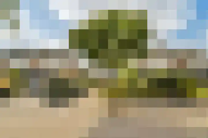 Wilhelminaweg 14 Zandvoort thumbnail 38